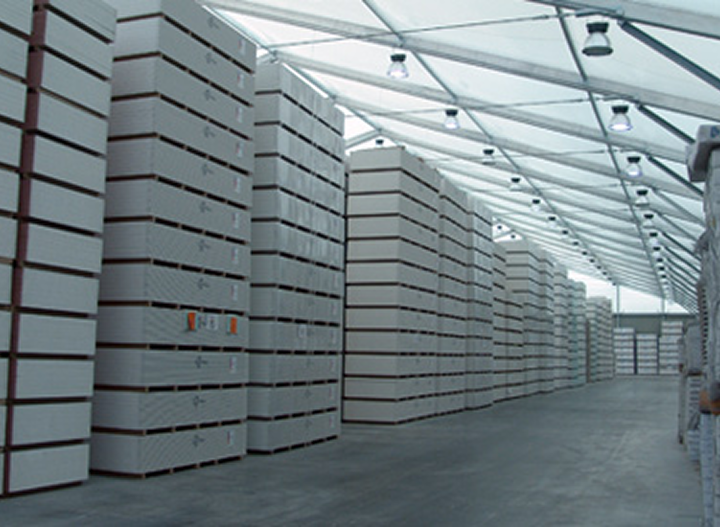 Bodega de neumáticos